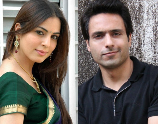 Is Tumhari Pakhi coming to an end already?